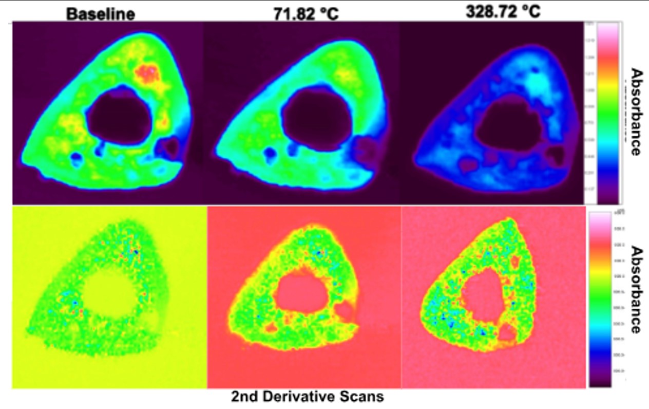 Read more: The Quantitative Biomedical Imaging & Spectroscopy Lab - Rachel Surowiec